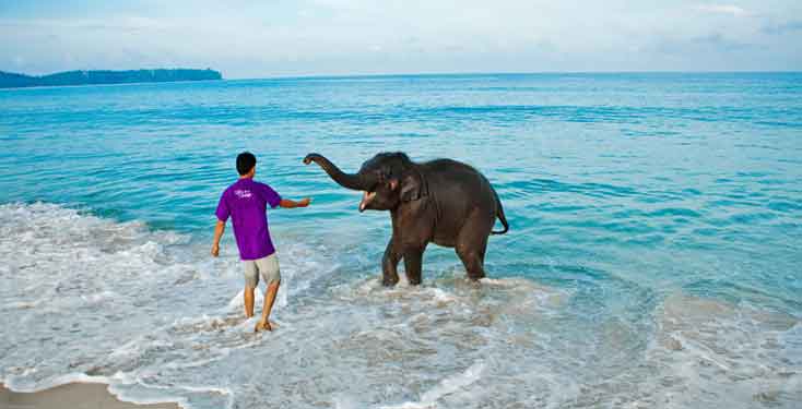 photos of elephant island in andaman